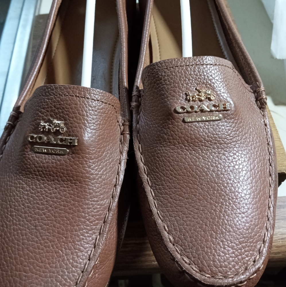 Olive coach shoes